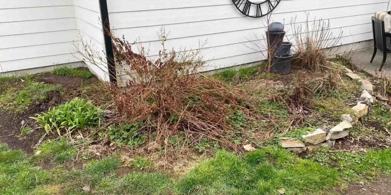 landscape cleanup snohomish washington