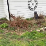 landscape cleanup snohomish washington