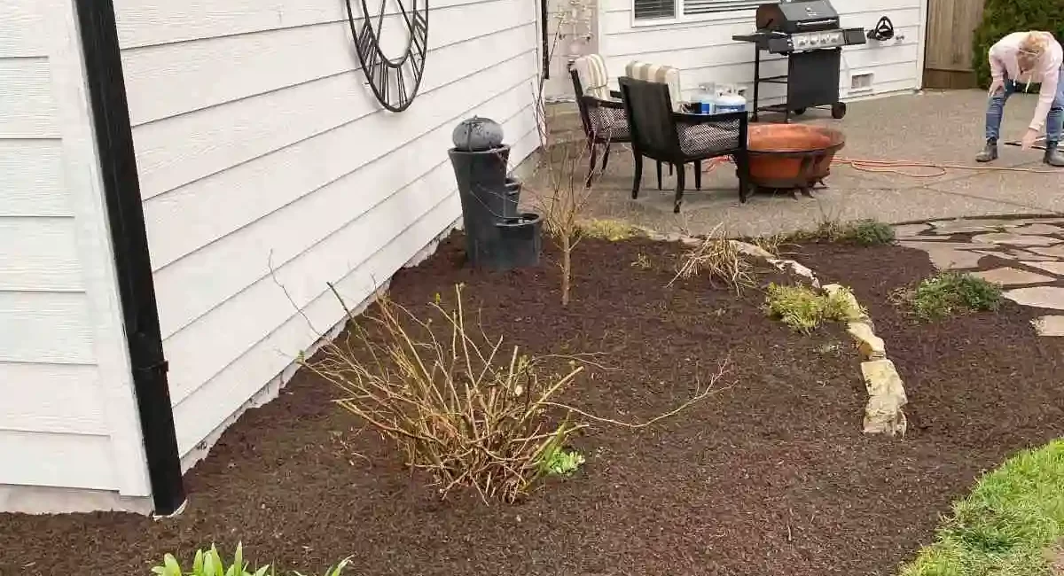 landscape cleanup snohomish washington after 2