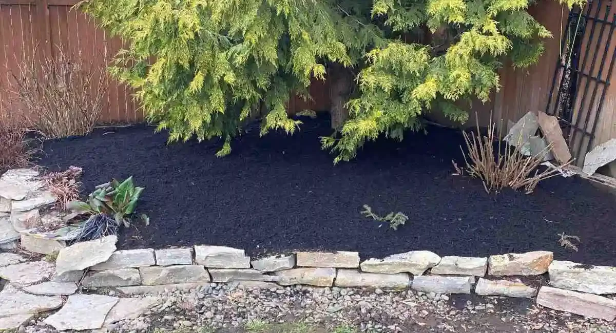 landscape cleanup snohomish washington after 4