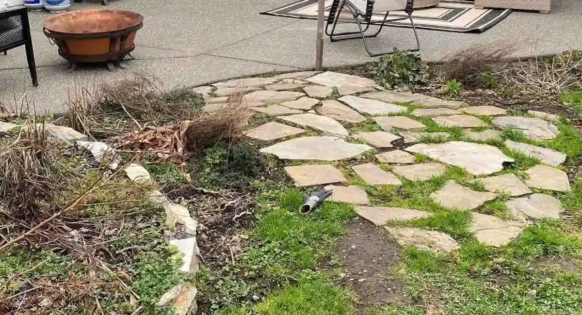 landscape cleanup snohomish washington before