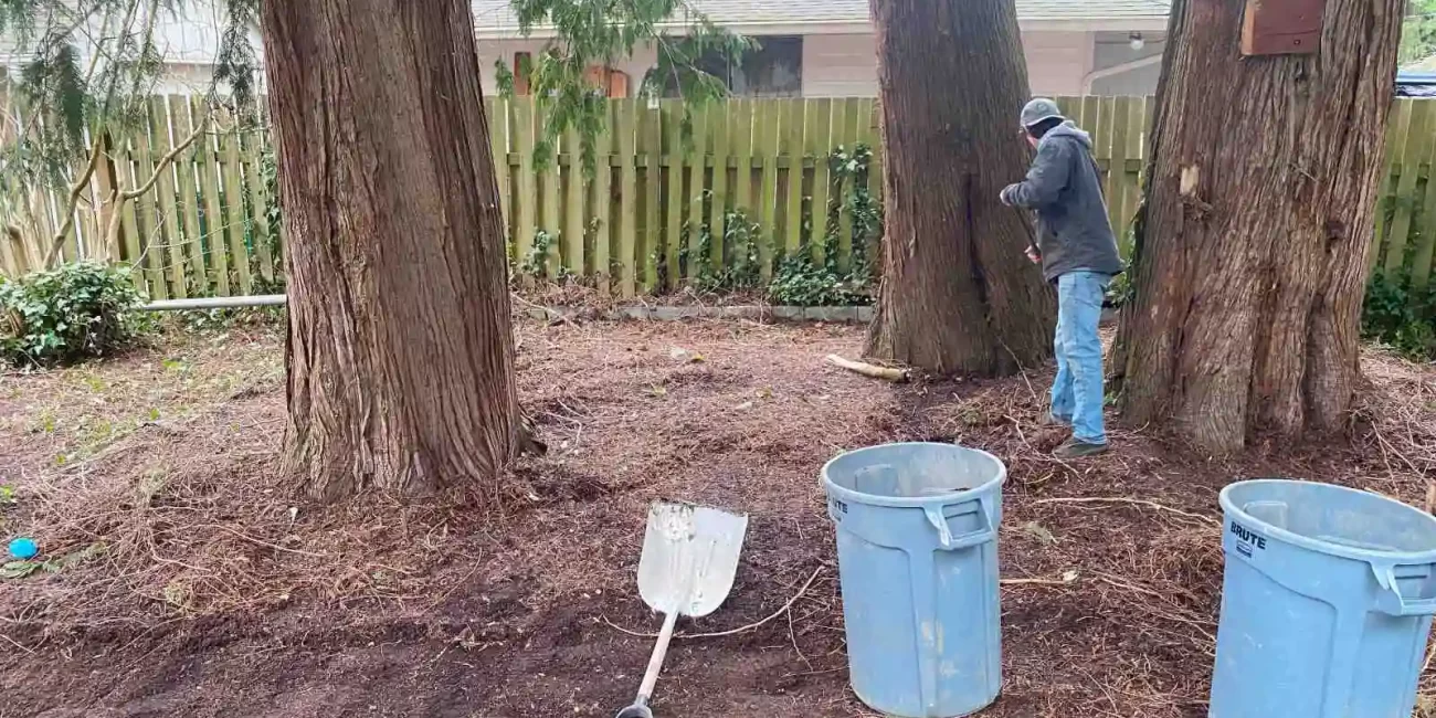 landscape cleanup tukwila washington
