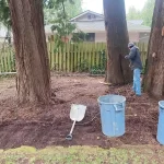 landscape cleanup tukwila washington