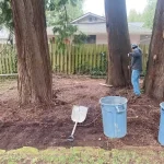 landscape cleanup tukwila washington 2