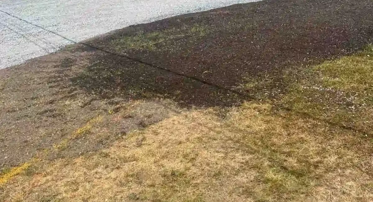 landscape install trees plants dirt rocks driveway marysville Washington 4