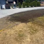 landscape install trees plants dirt rocks driveway marysville Washington 4