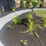 landscape install trees plants dirt rocks walkway marysville Washington 2