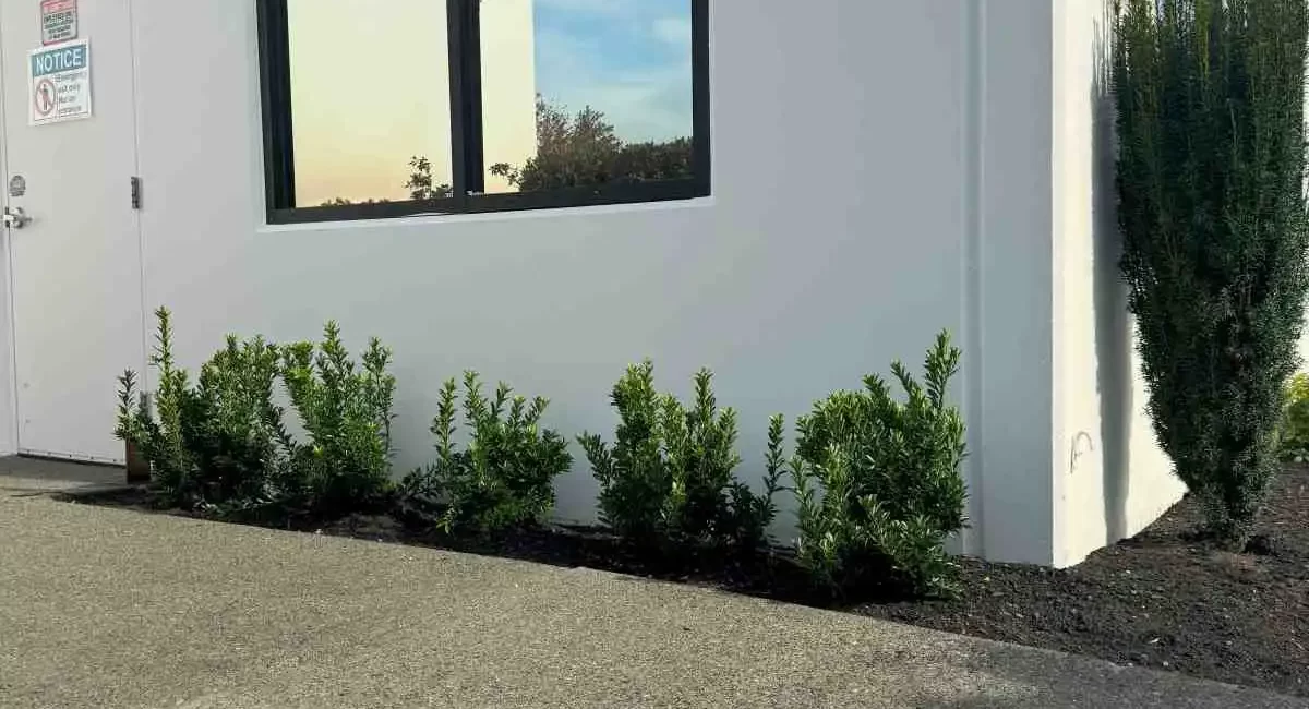 landscape installation smokey point and arlington washington 7