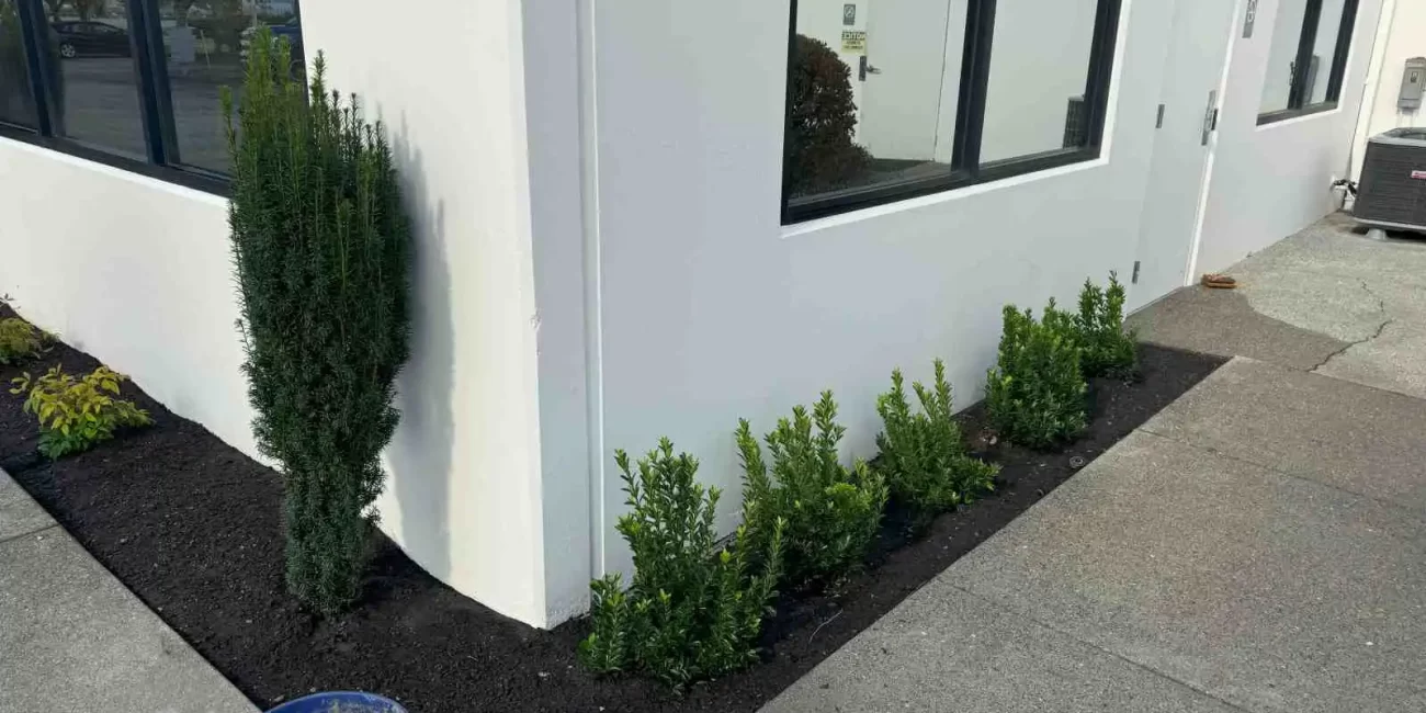landscape installation smokey point and arlington washington 8