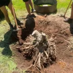 landscape installation stump removal arlington washington 6