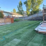 lawn restoration marysville washington after