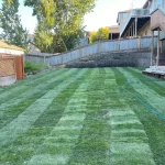 lawn restoration marysville washington after 2