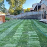 lawn restoration marysville washington after 3