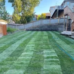 lawn restoration marysville washington after 4