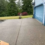 pressure washing the back patio of cameno washington after 2