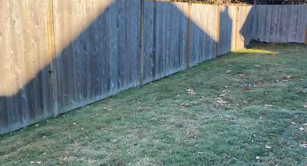 sod retaining wall concrete and sod everett washington before 2