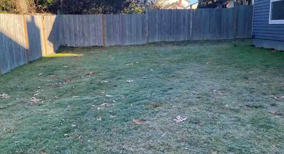 sod retaining wall concrete and sod everett washington before 3