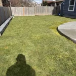 sod retaining wall concrete and sod finished everett washington 2