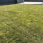 sod retaining wall concrete and sod finished everett washington 3