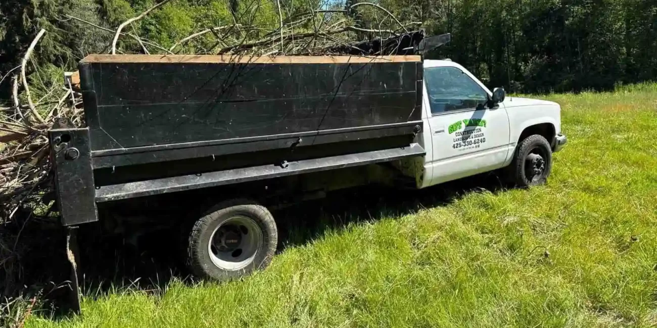 tree removal snohomish washington 2