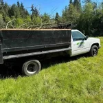 tree removal snohomish washington 2