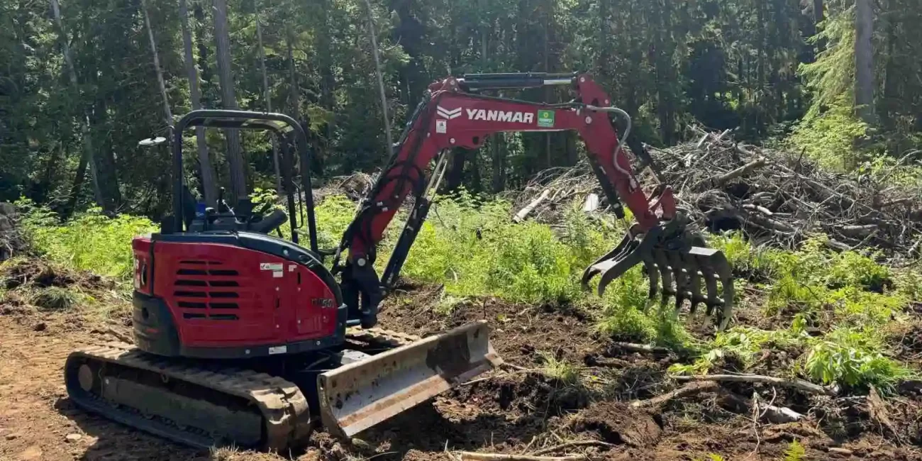 tree removal snohomish washington 2