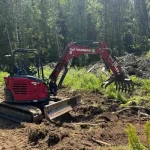 tree removal snohomish washington 2