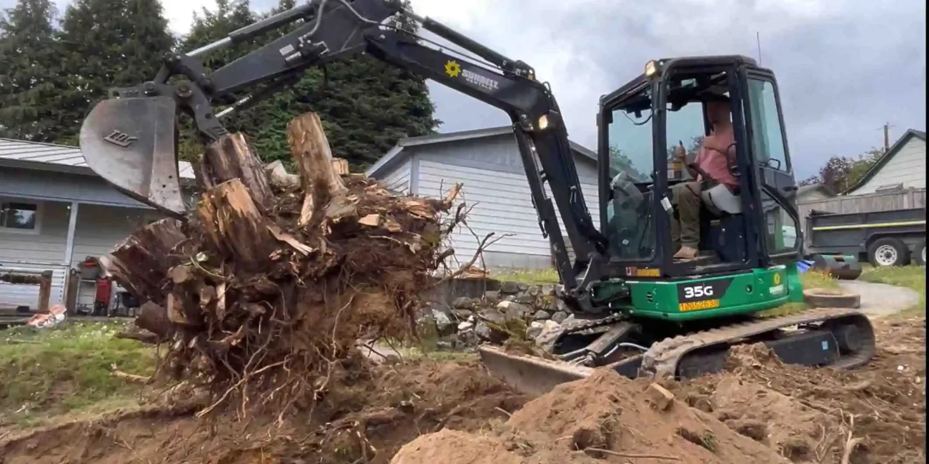 tree stump removal and retaining walls snohomish washington