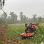 tree stump removal and retaining walls snohomish washington 4