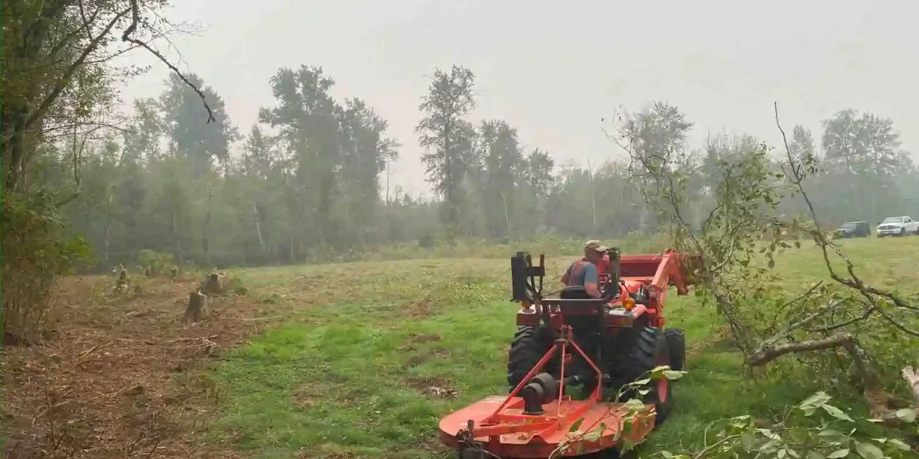 tree stump removal and retaining walls snohomish washington 4