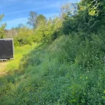 weed whacking lake stevens washington