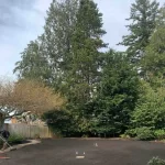 yard restoration Mukilteo Washington