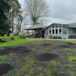 yard restoration marysville washington 2