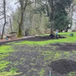 yard restoration marysville washington 3