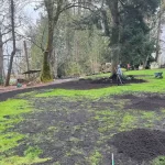 yard restoration marysville washington 4