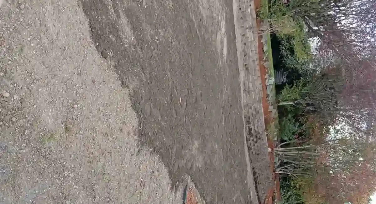 yard restoration retaining wall landscape mulch marysville Washington 2