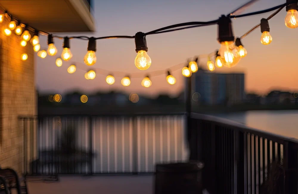 Govee String Light Hangings