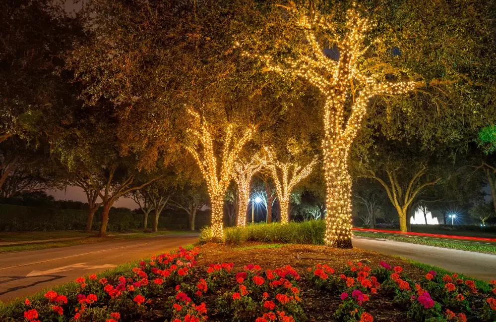 Tree Wrapping with Govee Lights